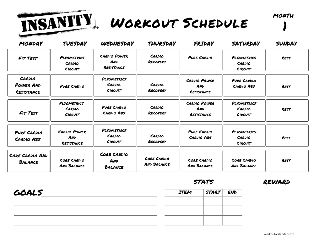 insanity workout schedule excel